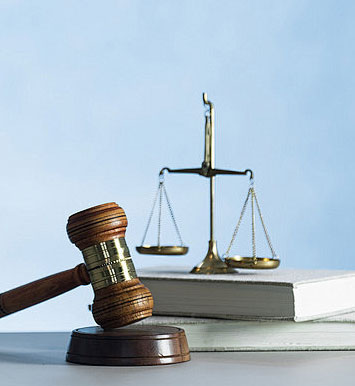 商标代理人/助理